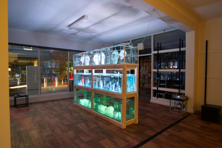 Symbiotic Illusion installation at Geelong After Dark 2016. Photo credit: Ferne Millen