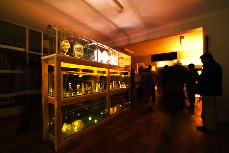 Symbiotic Illusion documentation from Geelong After Dark 2016, vacant shop in Little Malop street