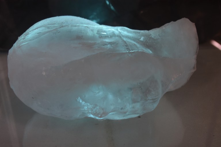 Studio image, Symbiotic Illusion (ice head placed in fish tank)