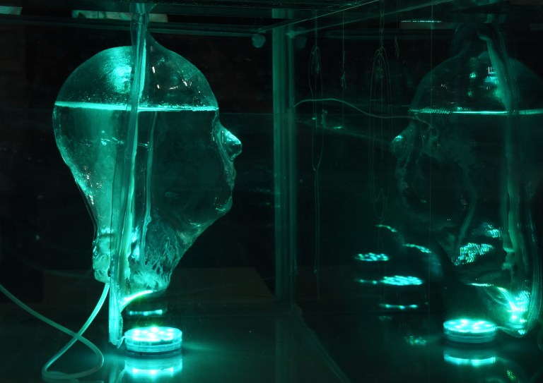 web-telematiccafe-image-michael-morgan-symbiotic-illusion-detail